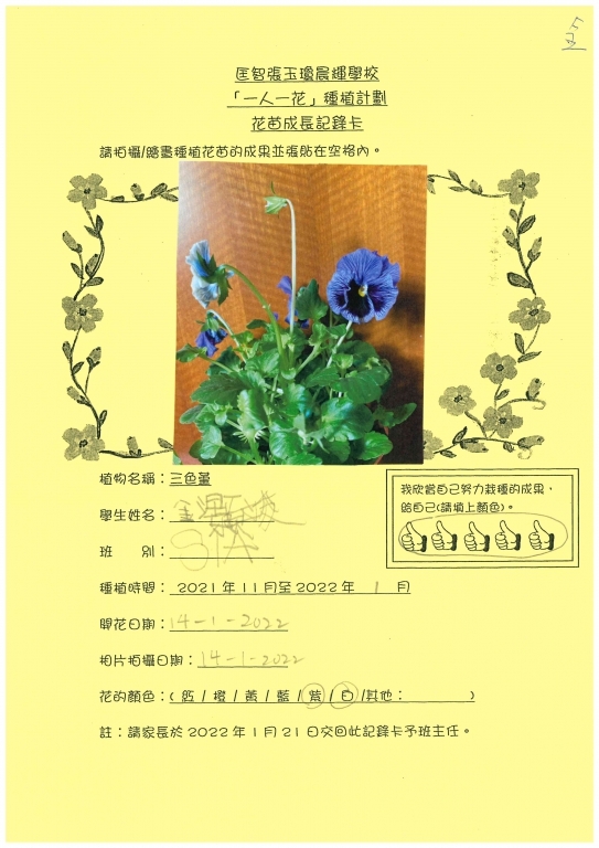 一人一花